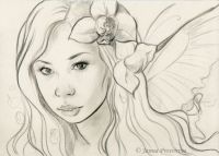 Orchid Fairy